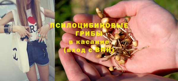 прущие крисы Баксан