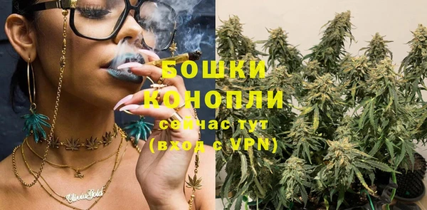 винт Осинники